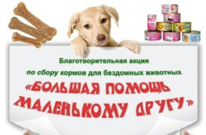 Read more about the article 19 марта – сбор продуктов и финансовой помощи для приюта для животных «Добродетель»