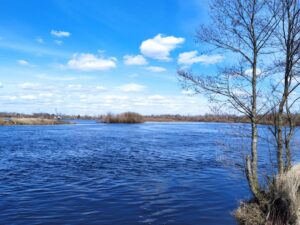 Read more about the article Чароўная Бярэзіна ў красавіку. Фота Віталя Крываноса