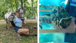 Read more about the article Жывёлы ў няволі – зло, ці дапамога кволым? На экафестывалі «Пікнічок» абмеркавалі тэму з ратавальніцай дзікіх звяроў і птушак