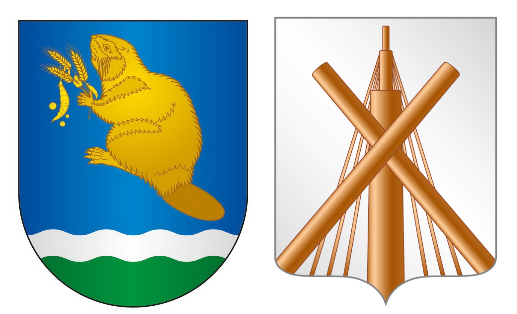Read more about the article У Бабруйскага раёна можа з’явіцца ўласная геральдыка з бабром. Пакуль там выкарыстоўваюць гарадскі герб і сцяг