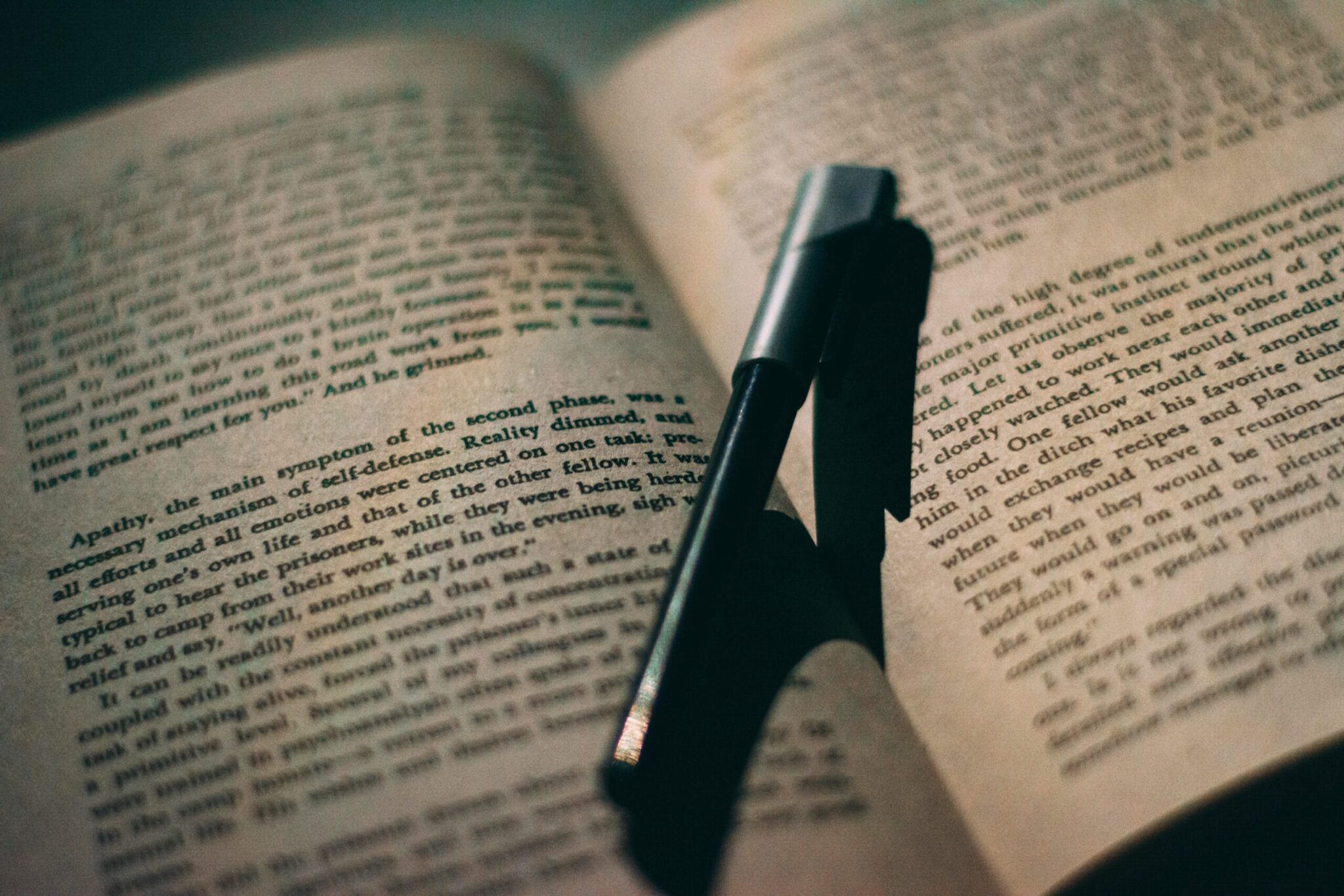 Read more about the article Онлайн-курс по Creative playwriting ад Кейт Янгдал — аўтара National Geographic, History і PBS