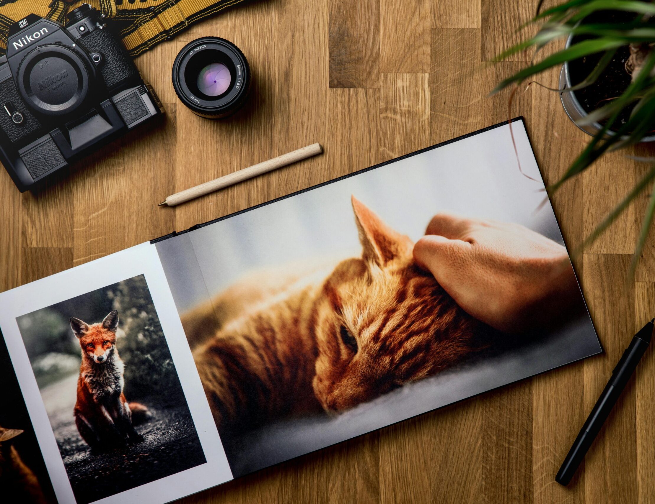 Read more about the article LUMA Rencontres Dummy Book Award — прэмія па фатаграфіі