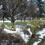 Бабруйск