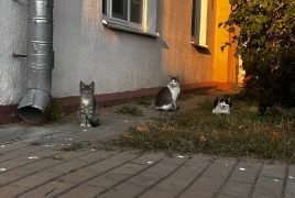 photo_2023-09-17 22.23.33