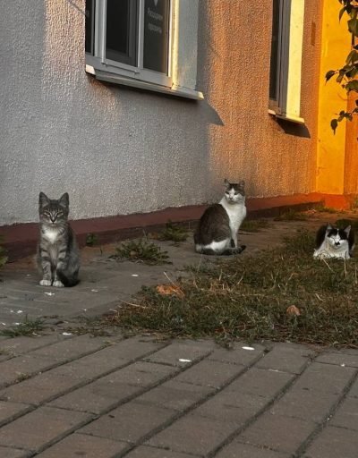 photo_2023-09-17 22.23.33