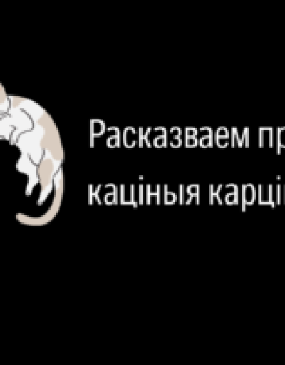 Як-зберагчыся-ад-радыяцыі-Расказваем-праз-каціныя-карцінкі-1-300x202