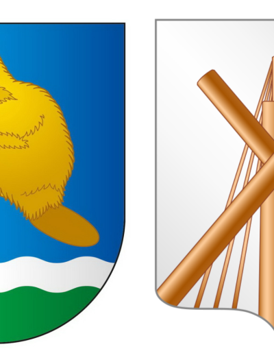 У Бабруйскага раёна можа з’явіцца ўласная геральдыка з бабром. Пакуль там выкарыстоўваюць гарадскі герб і сцяг